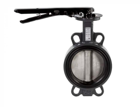 Затвор дисковый поворотный ЗДМ.03.16.100 DN100 PN16 (082X4003)(082X4404), Ридан фото 1